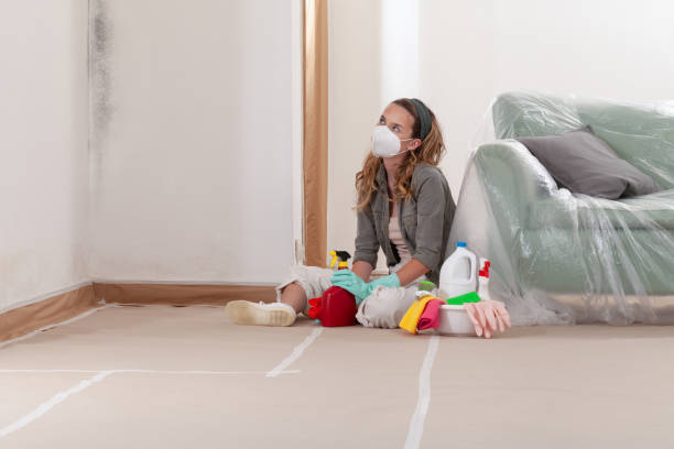 Reliable Mold Remediation contractor in Norristown, PA by Cheap Mold Removal